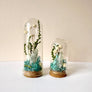 Crystal Fairy Garden Mix Mini Glass Cloche Terrariums