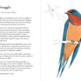 Dumb Birds Field Guide to the Worst Birds Ever