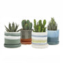 Minute Handmade Ceramic Planter Indoors Pot With Saucer