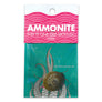 Ammonite |
Compact Curiosities Ammonite Fossil