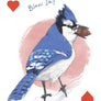 Field Guide to Dumb Birds Playing Cards