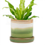 Minute Handmade Ceramic Planter Indoors Pot With Saucer