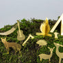 Tiny Camping for your plants