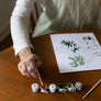 Tropical Plants Paint-By-Numbers kit