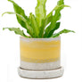 Minute Handmade Ceramic Planter Indoors Pot With Saucer