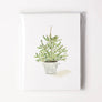 Evergreen Christmas assorted notecard set