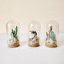 Beach Mix Mini Terrarium Crystal Ocean Dried Floral Bunch