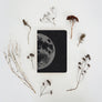Big Moon Notebooks (Silver)