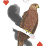 Field Guide to Dumb Birds Playing Cards