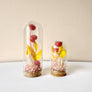 Crystal Fairy Garden Mix Mini Glass Cloche Terrariums