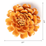 #EG44 Orange Fiesta Marigold Flower Shop Gift Items