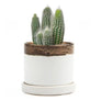Minute Handmade Ceramic Planter Indoors Pot With Saucer