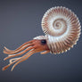 Ammonite |
Compact Curiosities Ammonite Fossil