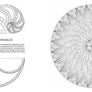The Golden Ratio Coloring Book: And Mathematical Patterns