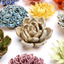 Ceramic Flowers Collection 12