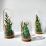 Sunlight Crystal Fair Terrarium Mini Floral Glass Cloche