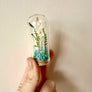 Crystal Fairy Garden Mix Mini Glass Cloche Terrariums
