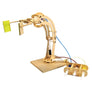 Robotic Arm Kit |
Wooden Engineering Model Building Kit
