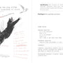 Dumb Birds Field Guide to the Worst Birds Ever
