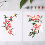 Cherry Blossoms Paint-By-Numbers kit