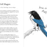 Dumb Birds Field Guide to the Worst Birds Ever