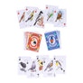 Field Guide to Dumb Birds Playing Cards