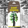 Crystal Growing Giant Sequoia |
Craft Kit Science Kit