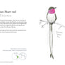 The Field Guide to Dumb Birds of the Whole Stupid World