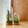 Sunlight Crystal Fair Terrarium Mini Floral Glass Cloche