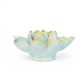 English Garden Robin's Egg Blue Aurora Water Lily