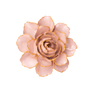 #FR01 Rose Pink Camellia Flower
