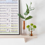 Reversible Glass Vase - Small: Peach/Cobalt