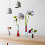Reversible Glass Vase - Small: Peach/Cobalt