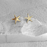 Petite Starfish Post Earrings