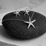 Large Starfish Post Earrings