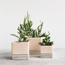 Pink Herringbone Square Planters