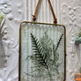 Framed Pressed Botanical Art 8x10