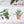 Tropical Plants Paint-By-Numbers kit