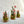 Pink Flower Forest Mini Cloche Terrarium w. Dried Florals