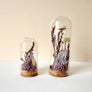Crystal Fairy Garden Mix Mini Glass Cloche Terrariums