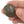 Ammonite |
Compact Curiosities Ammonite Fossil