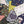 Love You to the Moon + Back Card: A2 Size : 4.25" x 5.5"