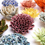Ceramic Flowers Collection 12