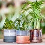Minute Handmade Ceramic Planter Indoors Pot With Saucer