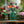 LEGO Botanical Almanac