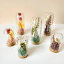 Crystal Fairy Garden Mix Mini Glass Cloche Terrariums