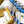 Both Metallic & Prismatic Wands Mix (Pre-assorted Colors)