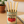 Pasta Pens - 4 Pack
