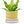 Minute Handmade Ceramic Planter Indoors Pot With Saucer