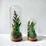 Sunlight Crystal Fair Terrarium Mini Floral Glass Cloche